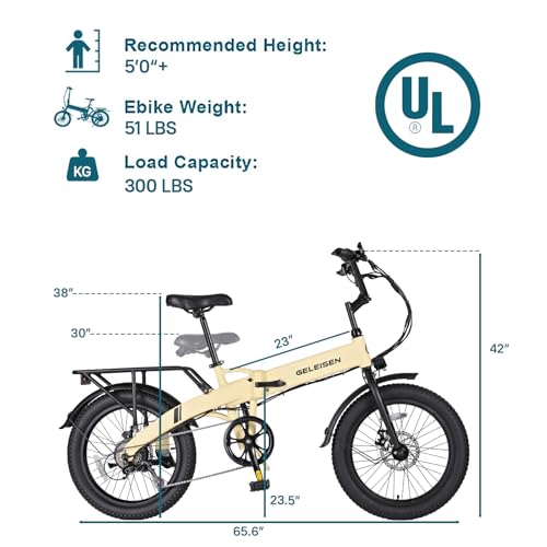 Folding Electric Bike for Adults, 20" Fat Tire, 374Wh Battery R9608