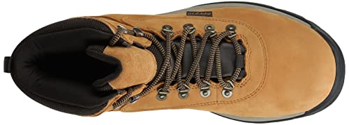 Timberland Men's White Ledge Mid Waterproof Hiking Boot E215