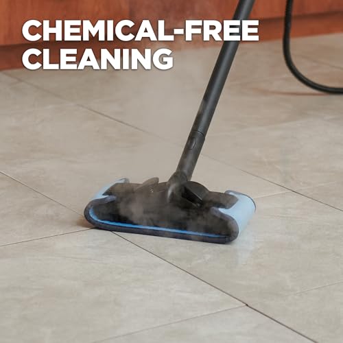 Wagner Spraytech 915e On-Demand Steam Cleaner & Wallpaper Removal, 18 Attachments D4490