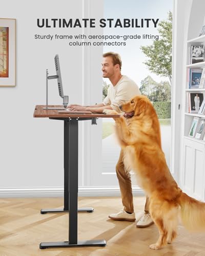 ErGear Height Adjustable Electric Standing Desk 48 x 24 Inches, Walnut S608