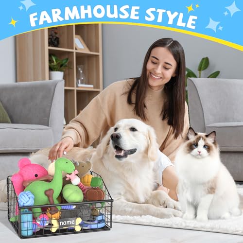 Dog Toy Storage Basket, Metal Toy Box for Dogs, Black D40281