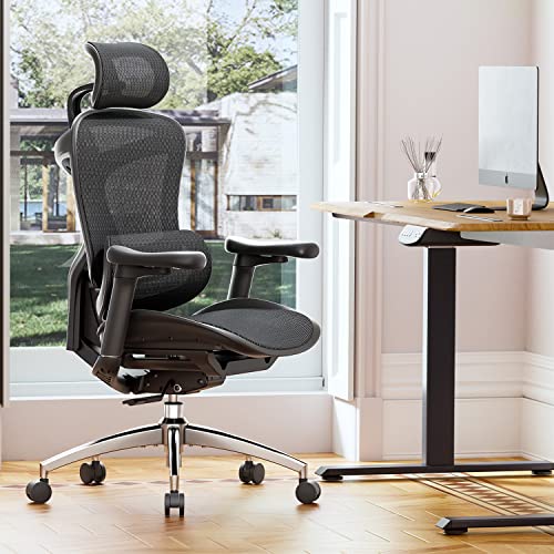 SIHOO Doro C300 Ergonomic Office Chair with 3D Armrests, Grey I3197