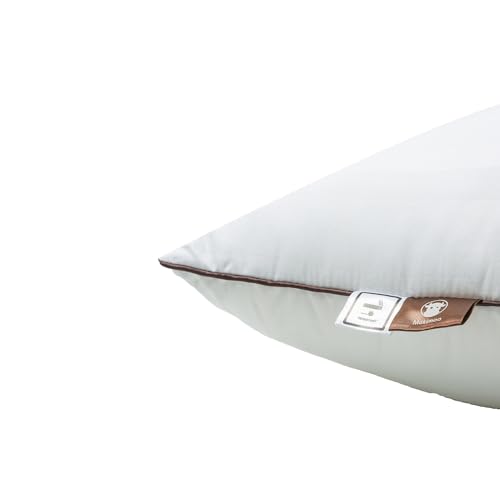Queen Size Sleeping Pillow 2-Pack, Soft Down Alternative with Washable Cover R605311