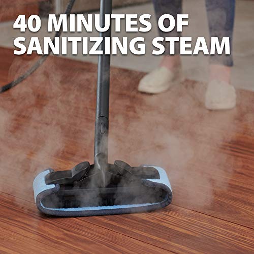 Wagner Spraytech 915e On-Demand Steam Cleaner & Wallpaper Removal, 18 Attachments D4490