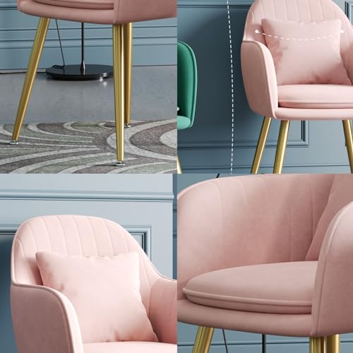 Leather Kitchen Chairs Modern Style Lazy Makeup Stool Livingroom Furniture Hotel Nail Shop Sofa Chair Nordic Dining Chair Backrest Flannel Fabric Chair armrest Dining Chair Velvet (Color : C) B846