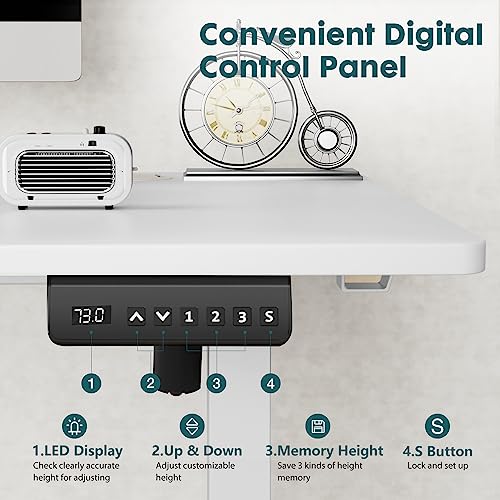 Adjustable Height Electric Standing Desk 55x24 Inch Black W5266