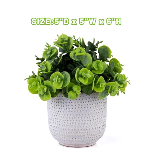 2 Pack Artificial Succulents in Ceramic Planters for Desk Decor V15398