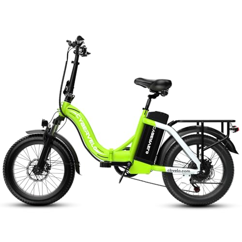 1000W Folding Electric Bike 48V Removable Battery 20" Fat Tire for Adults M922