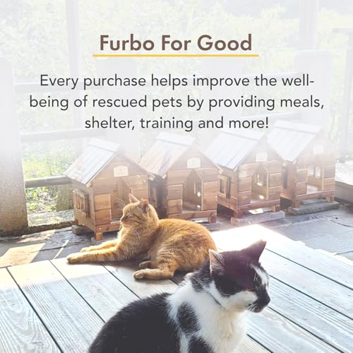 Furbo Mini Pet Camera with 2-Way Audio and Phone App N269659