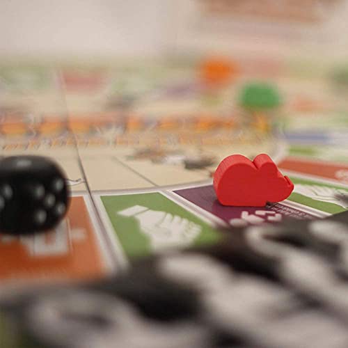 Rich Dad CASHFLOW Board Game, Educational Finance Literacy Game for Ages 14 & Up U172