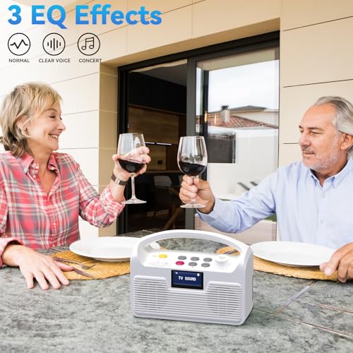 ANSTEN Portable Wireless TV Speaker for Elderly, Dual Bluetooth Loudspeakers with LCD Display E4919