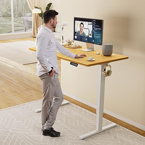 Adjustable Height Electric Standing Desk 55x24 Inch Black W5266