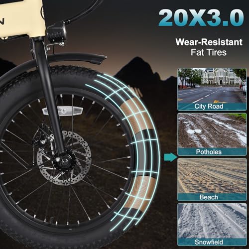 Folding Electric Bike for Adults, 20" Fat Tire, 374Wh Battery R9608