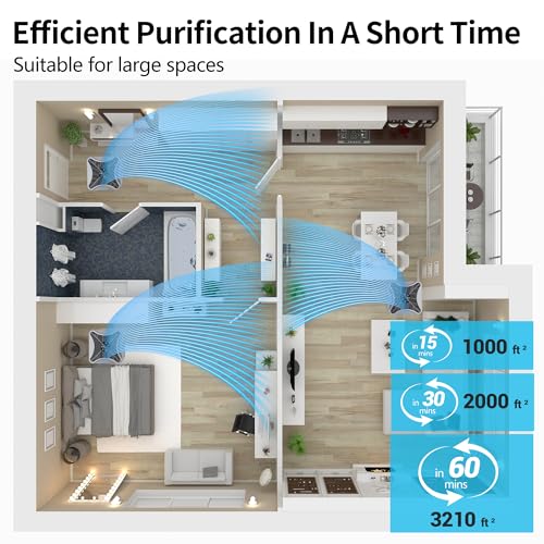 Air Purifier for Extra Large Room with H13 HEPA Washable Filter L613