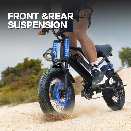 16'' Fat Tire Electric Bike for Adults, 500W, Removable Battery G58988