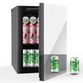 Compact Freestanding Beverage Refrigerator and Skincare Fridge, 0.9 Cu Ft Mini Fridge N768451