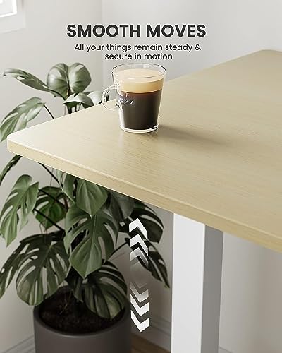 ErGear Height Adjustable Electric Standing Desk 48 x 24 Inches, Walnut S608