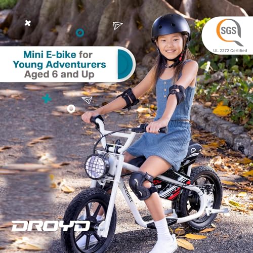 Weeler Electric Mini Bike for Kids Ages 6 & Up, 200W, 14in Tire Y9687
