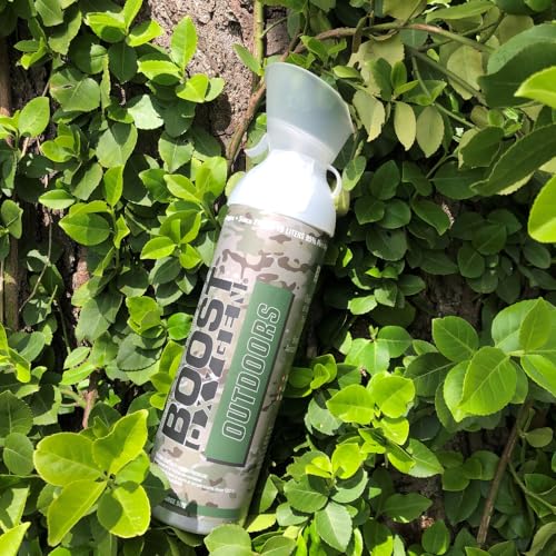 Boost Oxygen Large Natural 10L Canister 2 Pack I453