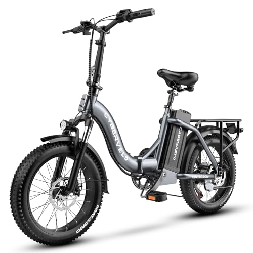 1000W Folding Electric Bike 48V Removable Battery 20" Fat Tire for Adults M922