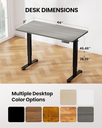 ErGear Height Adjustable Electric Standing Desk 48 x 24 Inches, Walnut S608