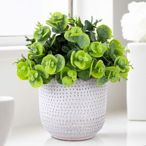 2 Pack Artificial Plants Small Cute Succulents in Ceramic Planters Fake Greenery Potted for Living Room Office Desk Decor,Bathroom,Bedroom,Shelves Decor