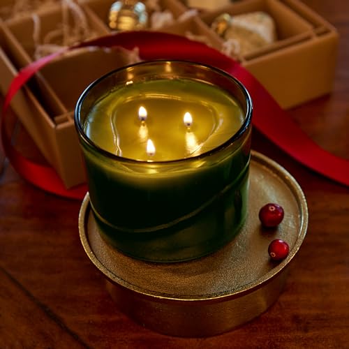 Thymes Frasier Fir Scented Candle, 3-Wick, 17 oz W528684
