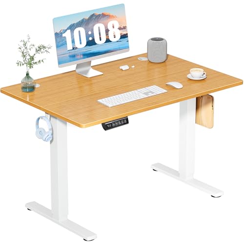 Adjustable Height Electric Standing Desk 55x24 Inch Black W5266