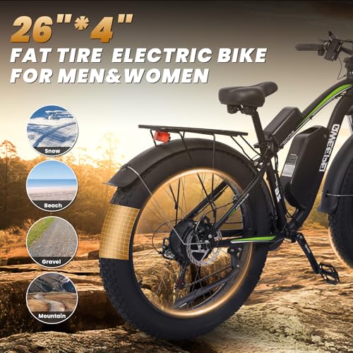 Dual Motor Electric Bike 3000W 23AH for Adults UL Certified L426