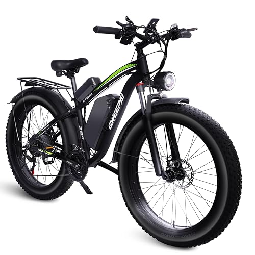 Dual Motor Electric Bike 3000W 23AH for Adults UL Certified L426