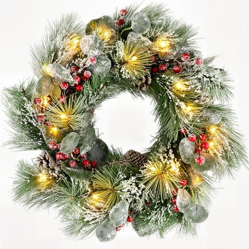 DomeStar 24 Inch Christmas Wreath with Lights, Outdoor Waterproof with Pine Cones C51545
