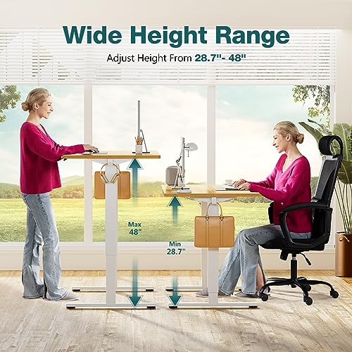 Adjustable Height Electric Standing Desk 55x24 Inch Black W5266