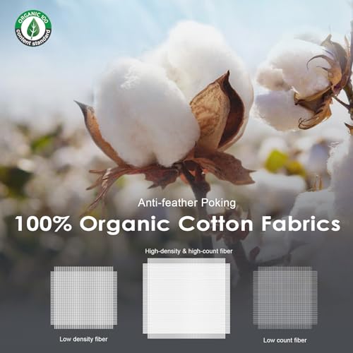 Hotel Feather Pillows King Size Set of 2, Hybrid Goose Down with Mef tek™ Memory Foam, Firm Bed Pillows with Organic Cotton Cover Y90449