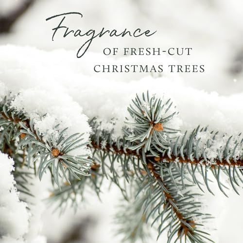 Thymes Frasier Fir Pine Needle Candle, 2 oz E44742