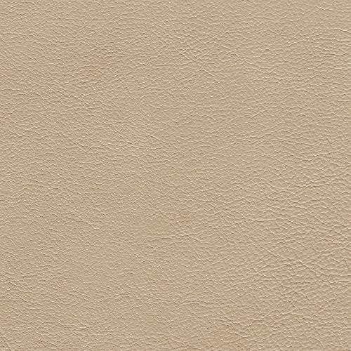 Abbyson Living Top Grain Leather Loveseat, Cream Q922361