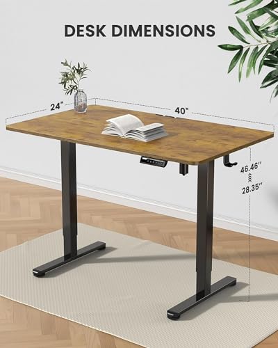 ErGear Height Adjustable Electric Standing Desk 48 x 24 Inches, Walnut S608