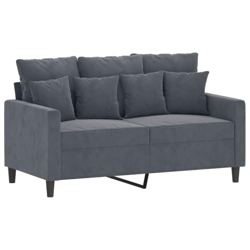vidaXL 2-Piece Dark Gray Velvet Sofa Set with Padded Seats X913678