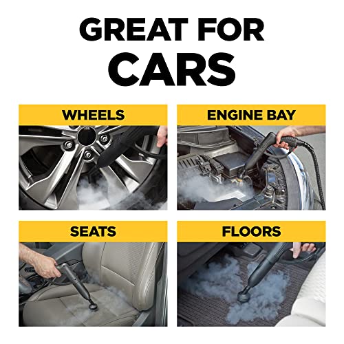 Wagner Spraytech 915e On-Demand Steam Cleaner & Wallpaper Removal, 18 Attachments D4490