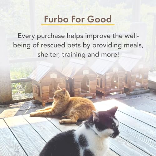 Furbo Mini Pet Camera with 2-Way Audio and Phone App N269659