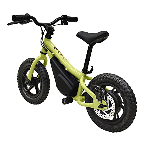 Massimo Motor Electric Bike for Kids 150W, Age 3+, 100lbs Capacity D8504