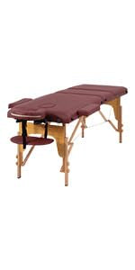 PayLessHere Massage Bed Portable Folding Spa Table with Non-Woven Bag P611882